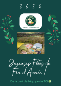 Lire la suite à propos de l’article JOYEUSES FÊTES À TOUS 🥳🎄🎅🎾